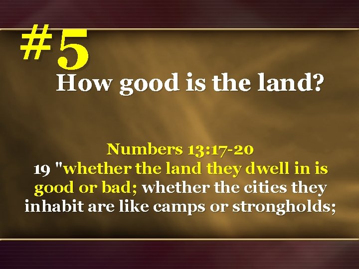 #5 How good is the land? Numbers 13: 17 -20 19 "whether the land