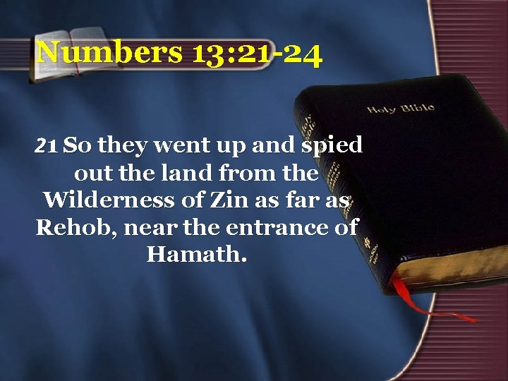 Numbers 13: 21 -24 21 So they went up and spied out the land