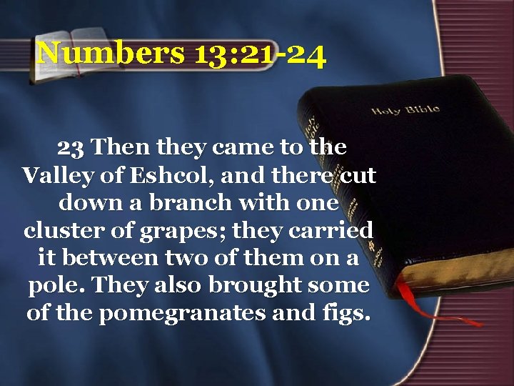 Numbers 13: 21 -24 23 Then they came to the Valley of Eshcol, and