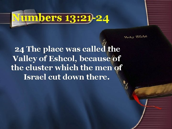 Numbers 13: 21 -24 24 The place was called the Valley of Eshcol, because