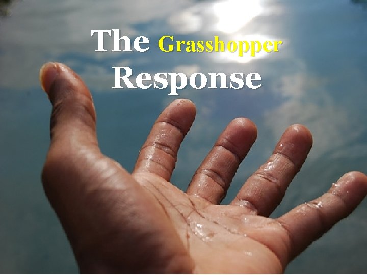 The Grasshopper Response 