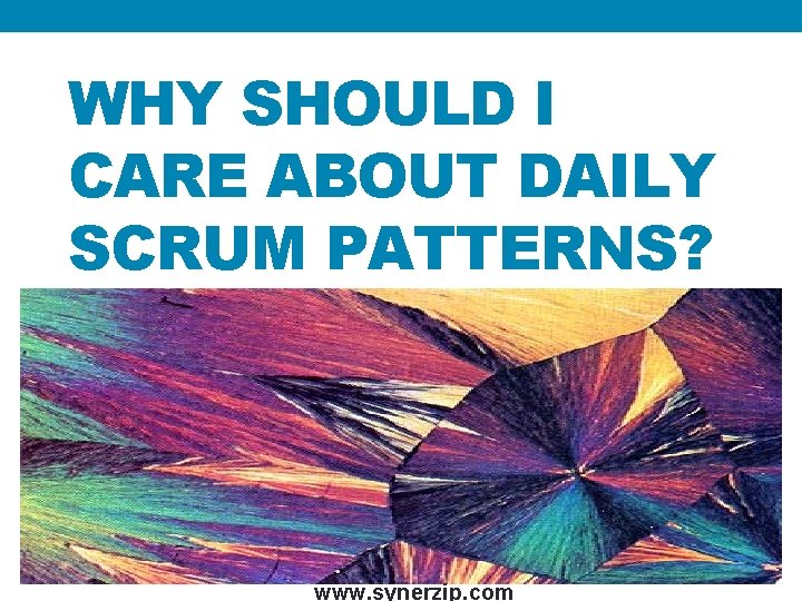 WHY SHOULD I CARE ABOUT DAILY SCRUM PATTERNS? www. synerzip. com 