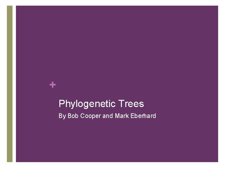 + Phylogenetic Trees By Bob Cooper and Mark Eberhard 