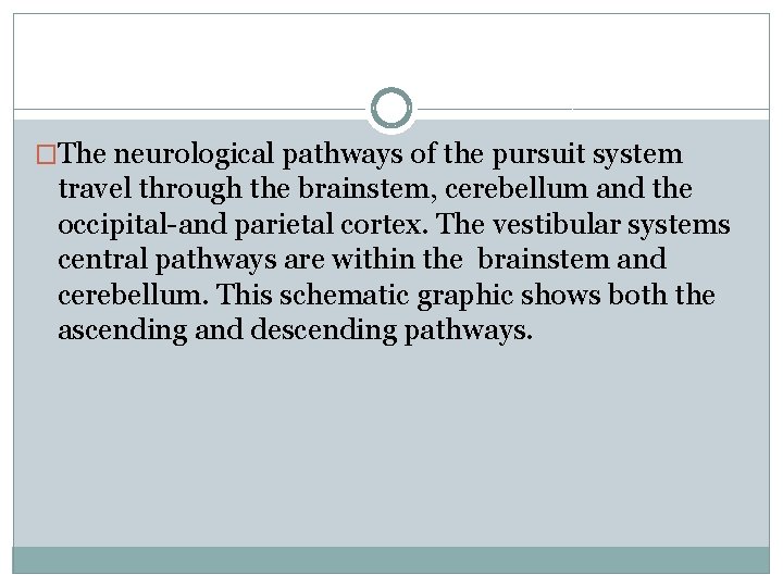 �The neurological pathways of the pursuit system travel through the brainstem, cerebellum and the