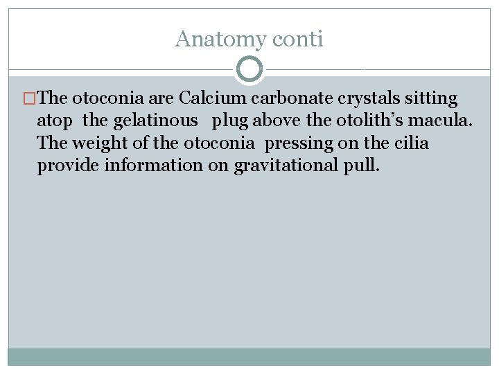Anatomy conti �The otoconia are Calcium carbonate crystals sitting atop the gelatinous plug above