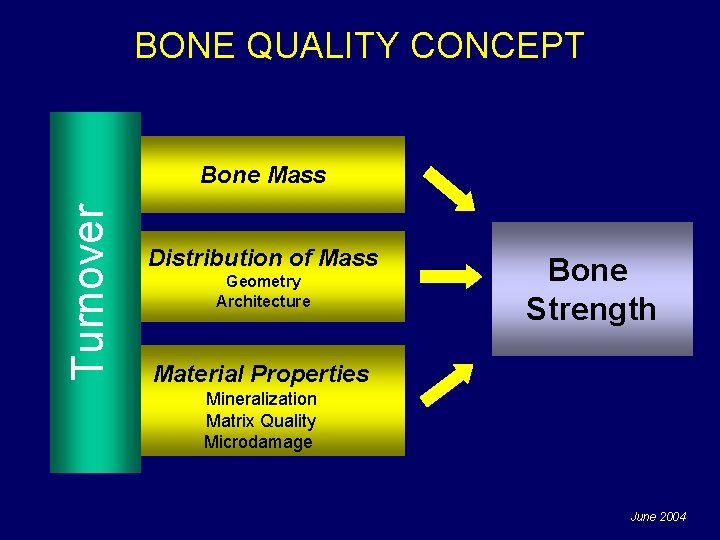 BONE QUALITY CONCEPT Turnover Bone Mass Distribution of Mass Geometry Architecture Bone Strength Material