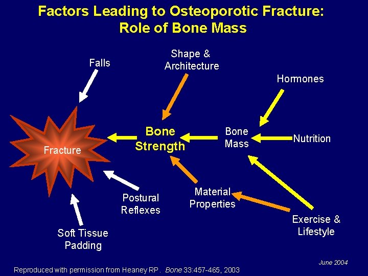 Factors Leading to Osteoporotic Fracture: Role of Bone Mass Shape & Architecture Falls Hormones
