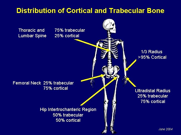 Distribution of Cortical and Trabecular Bone Thoracic and Lumbar Spine 75% trabecular 25% cortical