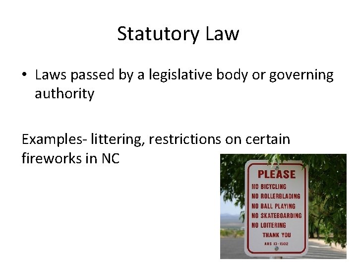 Statutory Law • Laws passed by a legislative body or governing authority Examples- littering,