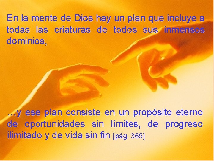 En la mente de Dios hay un plan que incluye a todas las criaturas
