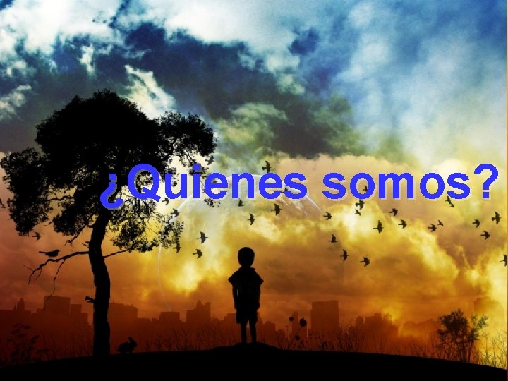 ¿Quienes somos? 