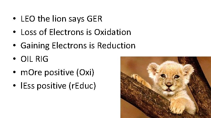  • • • LEO the lion says GER Loss of Electrons is Oxidation