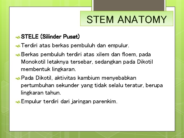 STEM ANATOMY STELE (Silinder Pusat) Terdiri atas berkas pembuluh dan empulur. Berkas pembuluh terdiri