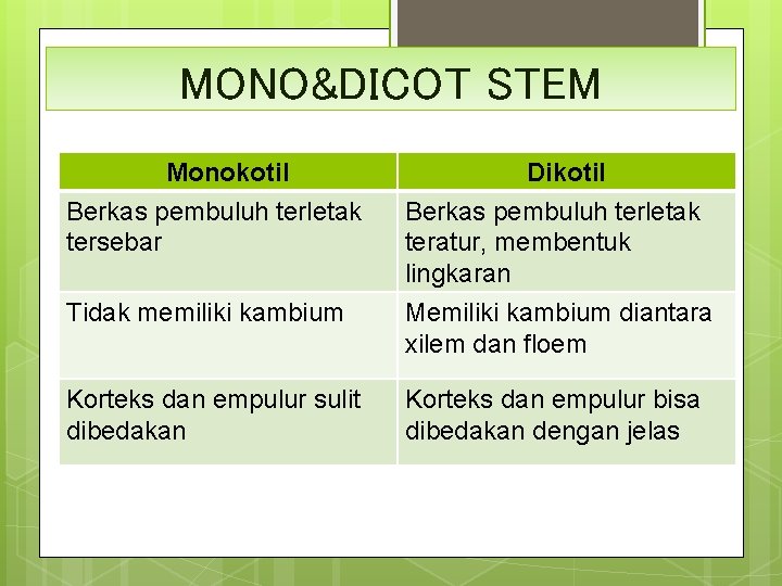 MONO&DICOT STEM Monokotil Berkas pembuluh terletak tersebar Dikotil Berkas pembuluh terletak teratur, membentuk lingkaran