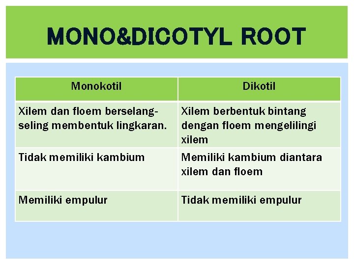 MONO&DICOTYL ROOT Monokotil Dikotil Xilem dan floem berselangseling membentuk lingkaran. Xilem berbentuk bintang dengan