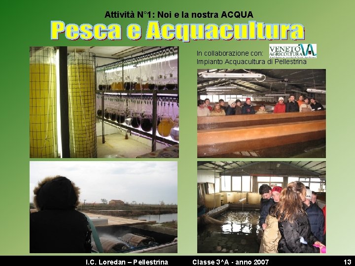 Attività N° 1: Noi e la nostra ACQUA In collaborazione con: Impianto Acquacultura di