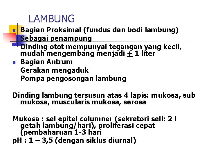 LAMBUNG n n Bagian Proksimal (fundus dan bodi lambung) Sebagai penampung Dinding otot mempunyai