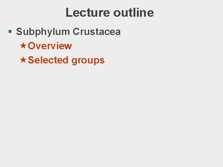 Lecture outline § Subphylum Crustacea «Overview «Selected groups 