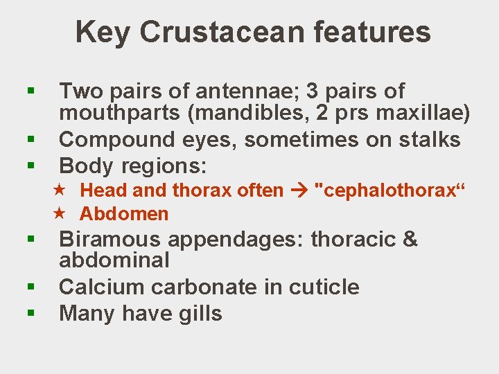 Key Crustacean features § § § Two pairs of antennae; 3 pairs of mouthparts