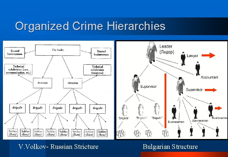 Organized Crime Hierarchies V. Volkov- Russian Stricture Bulgarian Structure 