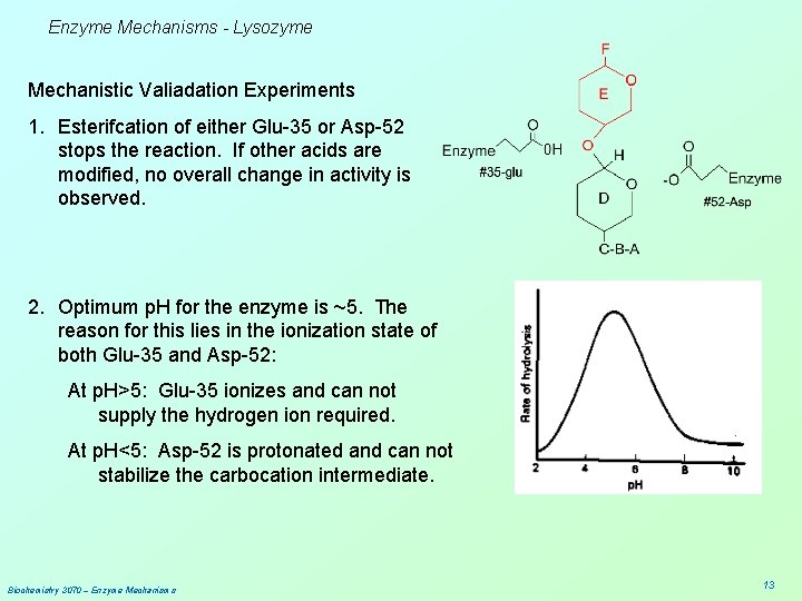 Enzyme Mechanisms - Lysozyme Mechanistic Valiadation Experiments 1. Esterifcation of either Glu-35 or Asp-52