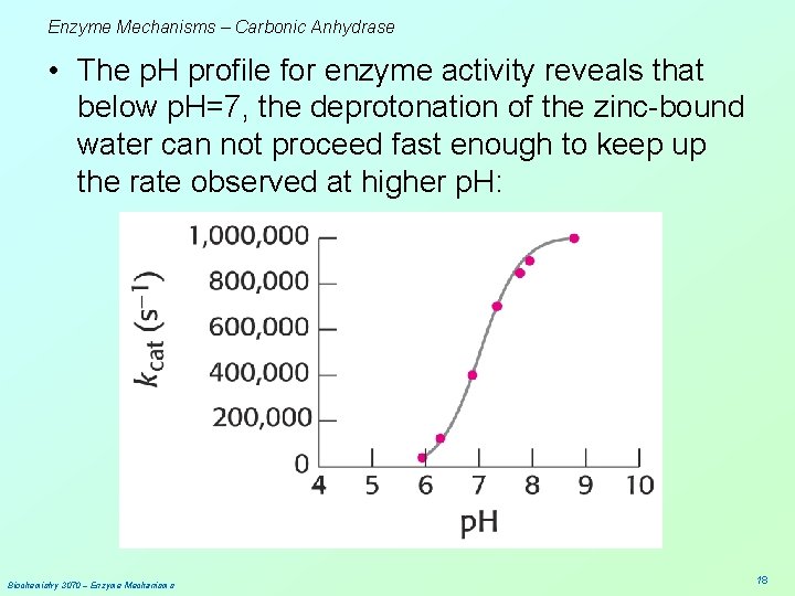 Enzyme Mechanisms – Carbonic Anhydrase • The p. H profile for enzyme activity reveals