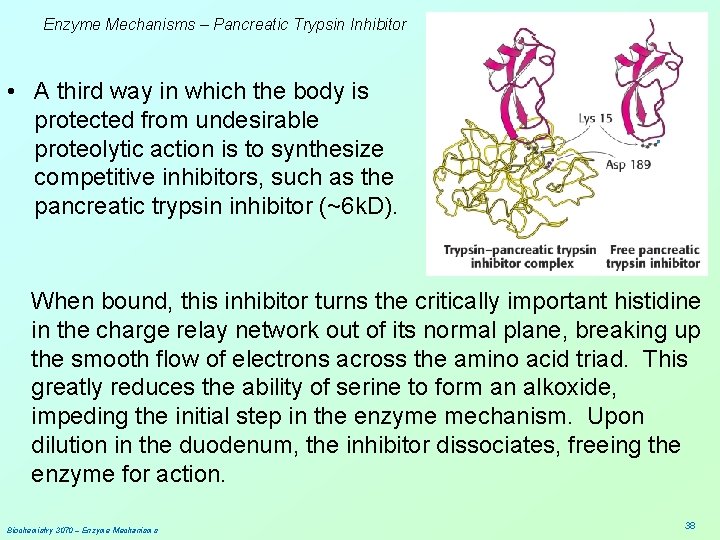 Enzyme Mechanisms – Pancreatic Trypsin Inhibitor • A third way in which the body