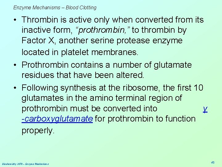 Enzyme Mechanisms – Blood Clotting • Thrombin is active only when converted from its