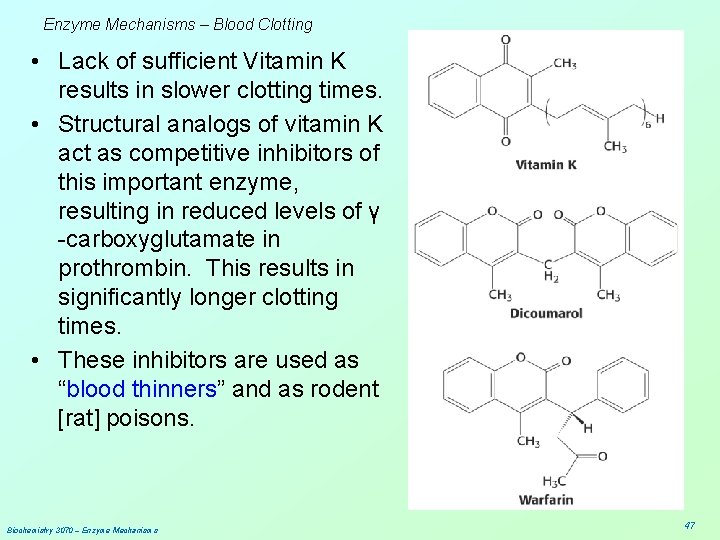 Enzyme Mechanisms – Blood Clotting • Lack of sufficient Vitamin K results in slower