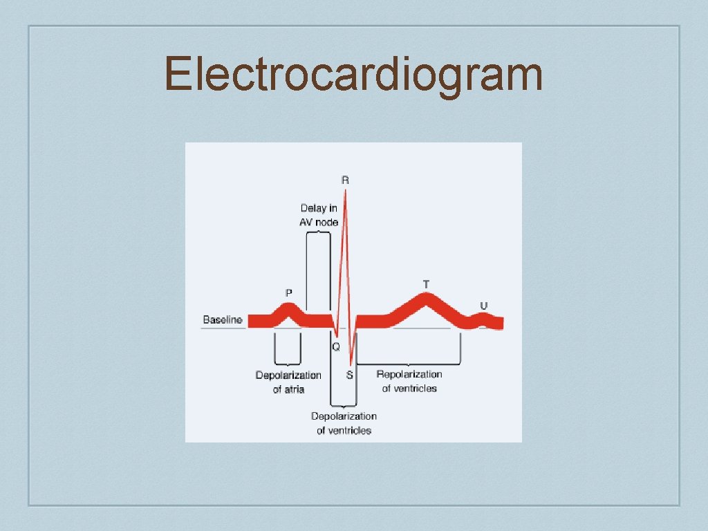 Electrocardiogram 