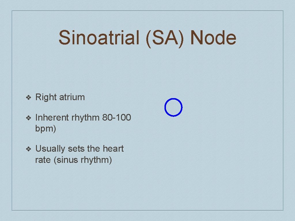 Sinoatrial (SA) Node ❖ Right atrium ❖ Inherent rhythm 80 -100 bpm) ❖ Usually
