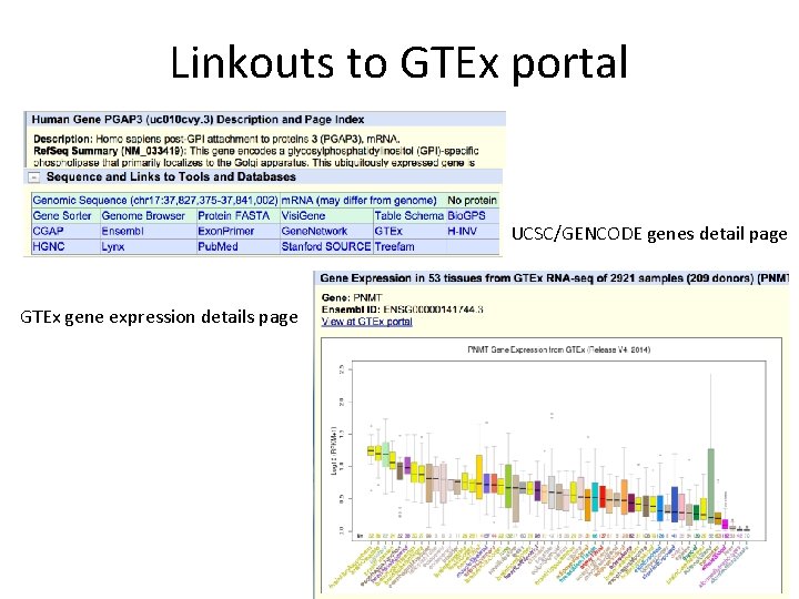 Linkouts to GTEx portal UCSC/GENCODE genes detail page GTEx gene expression details page 