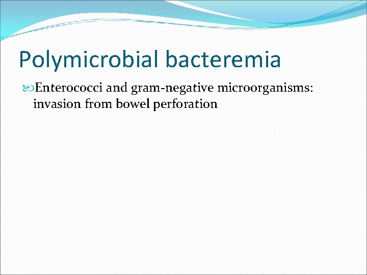 Polymicrobial bacteremia Enterococci and gram-negative microorganisms: invasion from bowel perforation 