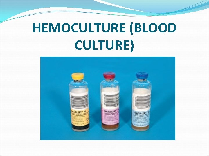 HEMOCULTURE (BLOOD CULTURE) 