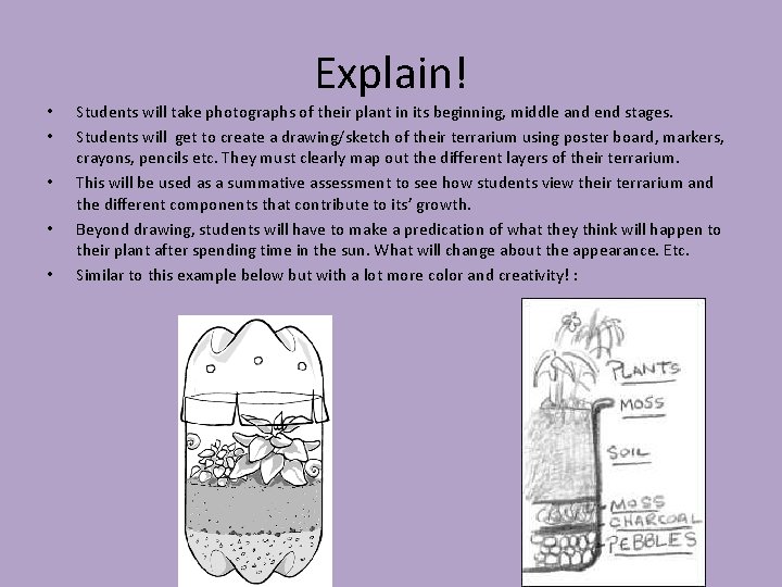 Explain! • • • Students will take photographs of their plant in its beginning,