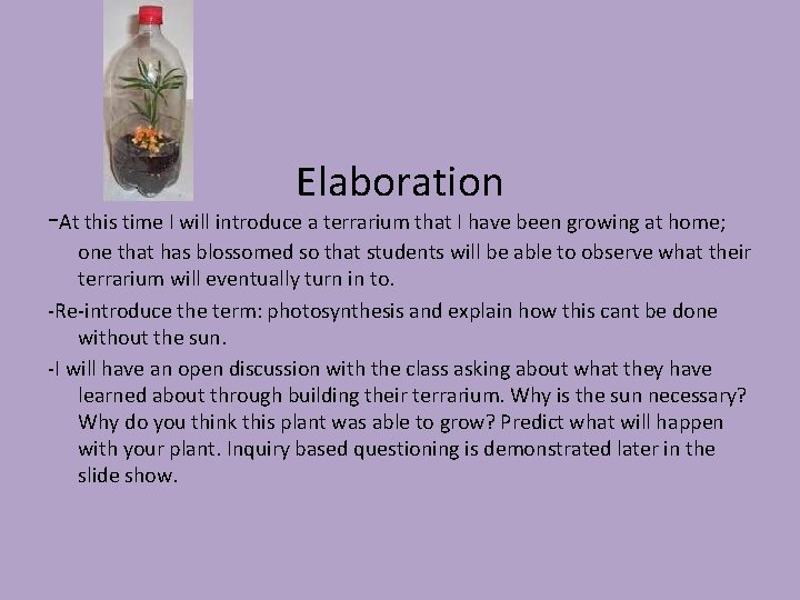 Elaboration -At this time I will introduce a terrarium that I have been growing