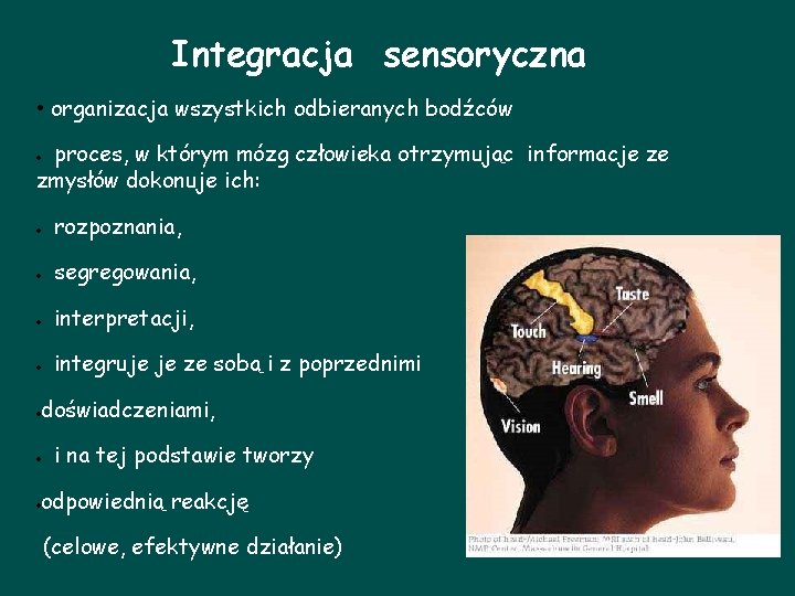 Integracja sensoryczna • organizacja wszystkich odbieranych bodźców proces, w którym mózg człowieka otrzymując informacje