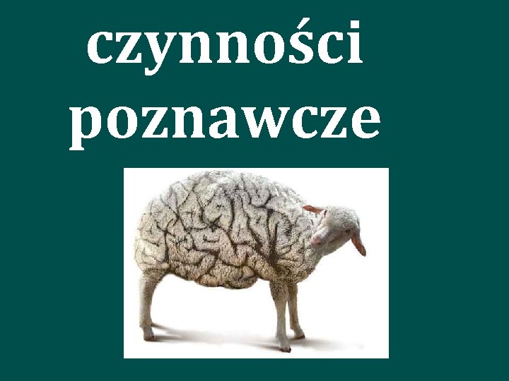 czynności poznawcze 