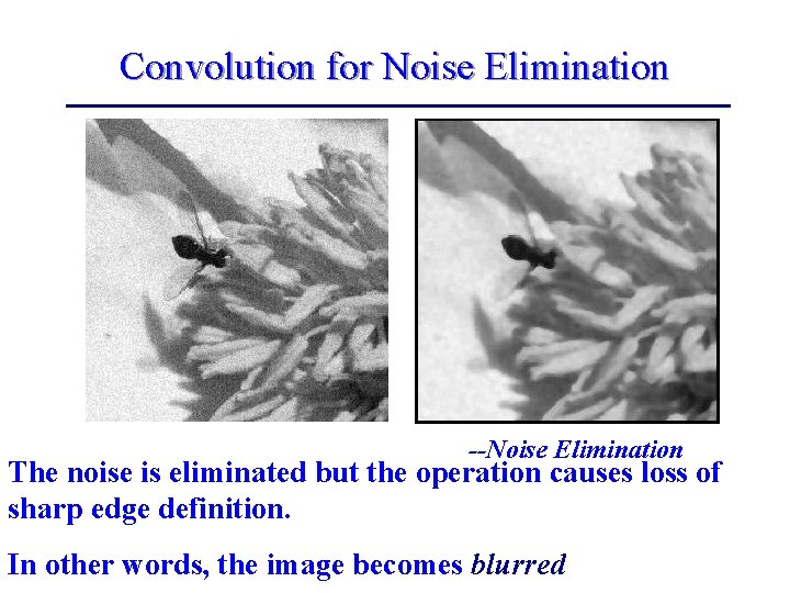 Convolution for Noise Elimination --Noise Elimination The noise is eliminated but the operation causes