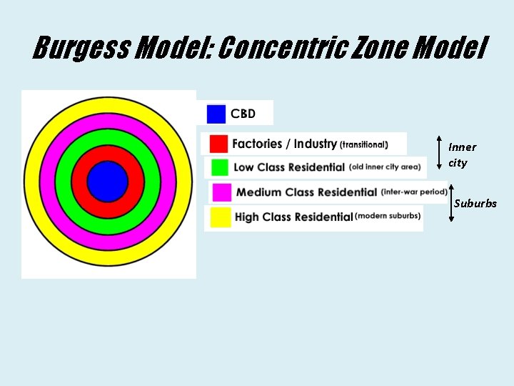 Burgess Model: Concentric Zone Model Inner city Suburbs 