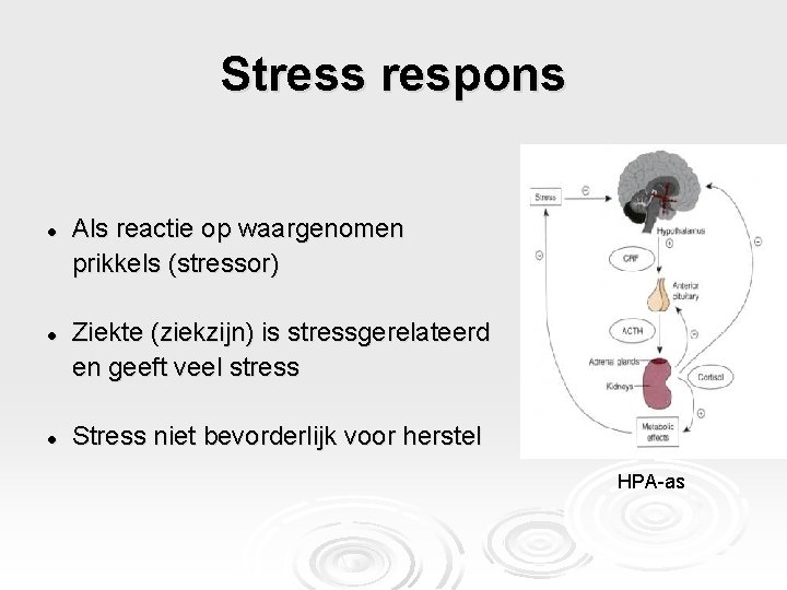 Stress respons l l l Als reactie op waargenomen prikkels (stressor) Ziekte (ziekzijn) is