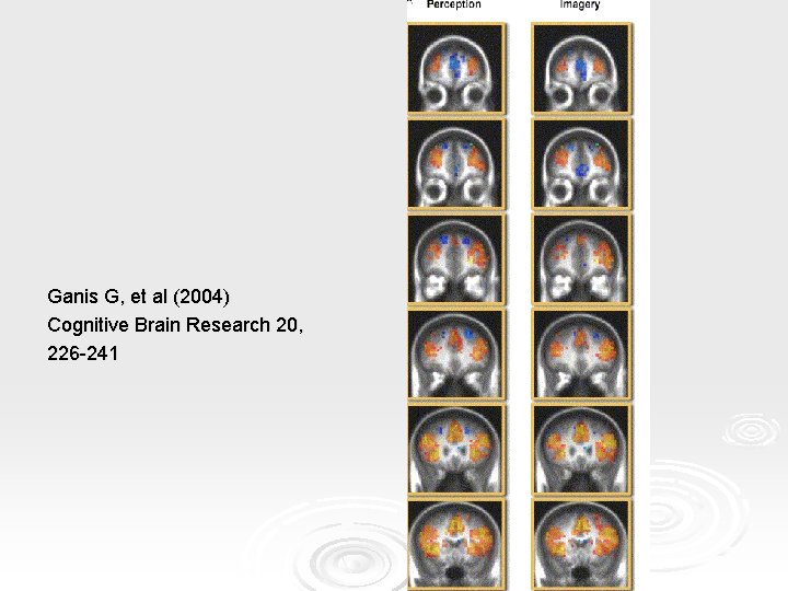 Ganis G, et al (2004) Cognitive Brain Research 20, 226 -241 