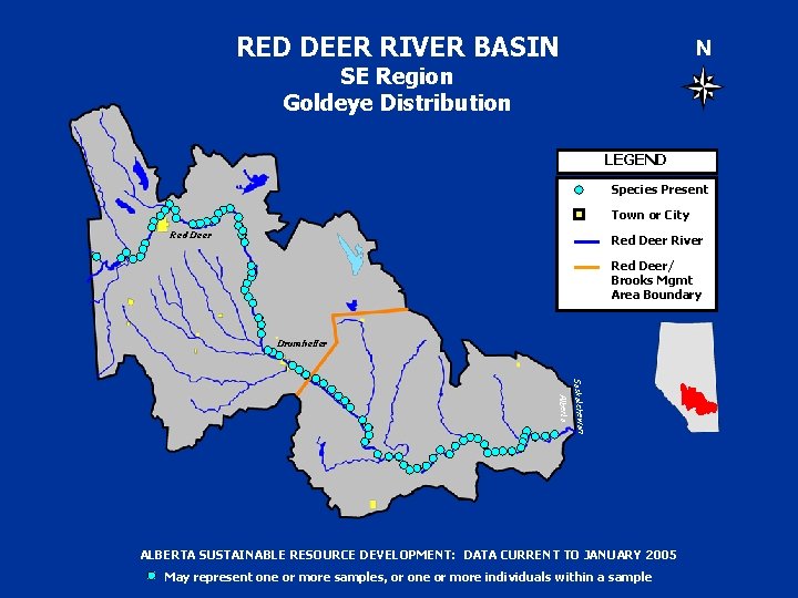 RED DEER RIVER BASIN N SE Region Goldeye Distribution LEGEND Species Present Town or