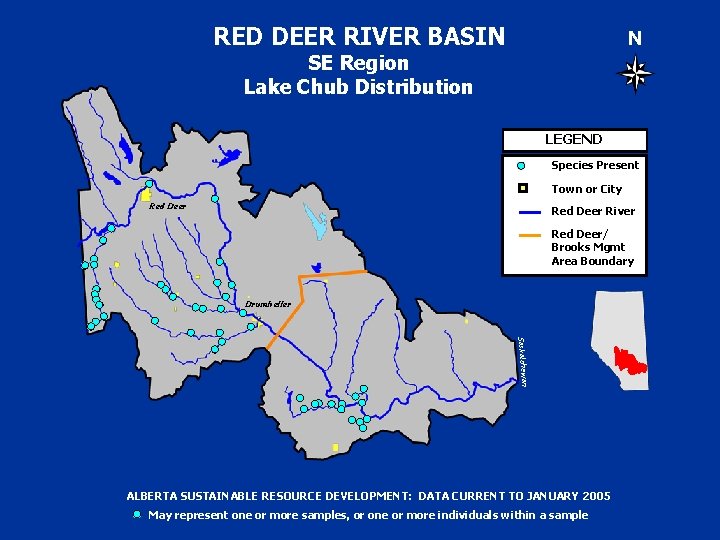 RED DEER RIVER BASIN N SE Region Lake Chub Distribution LEGEND Species Present Town