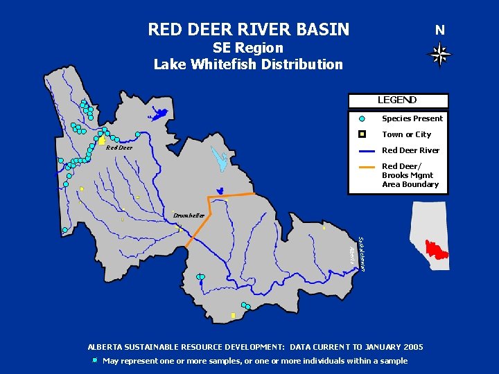 RED DEER RIVER BASIN N SE Region Lake Whitefish Distribution LEGEND Species Present Town
