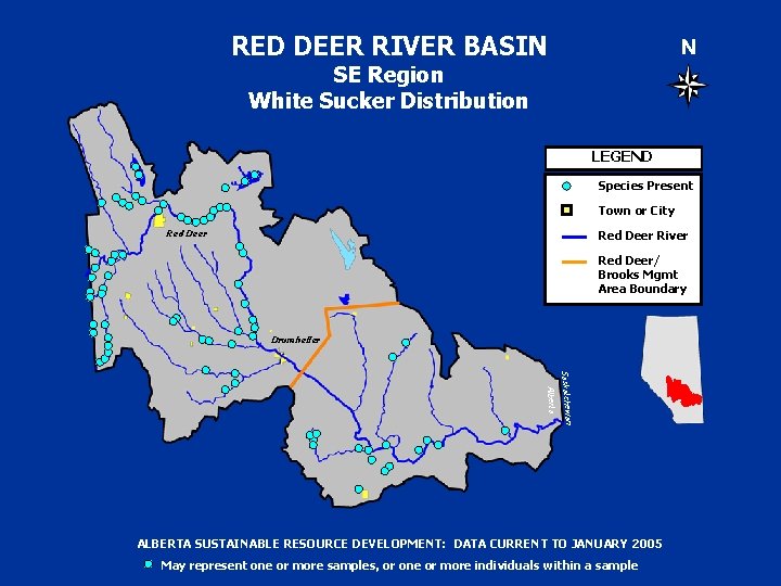 RED DEER RIVER BASIN N SE Region White Sucker Distribution LEGEND Species Present Town