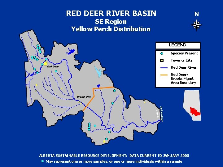 RED DEER RIVER BASIN N SE Region Yellow Perch Distribution LEGEND Species Present Town