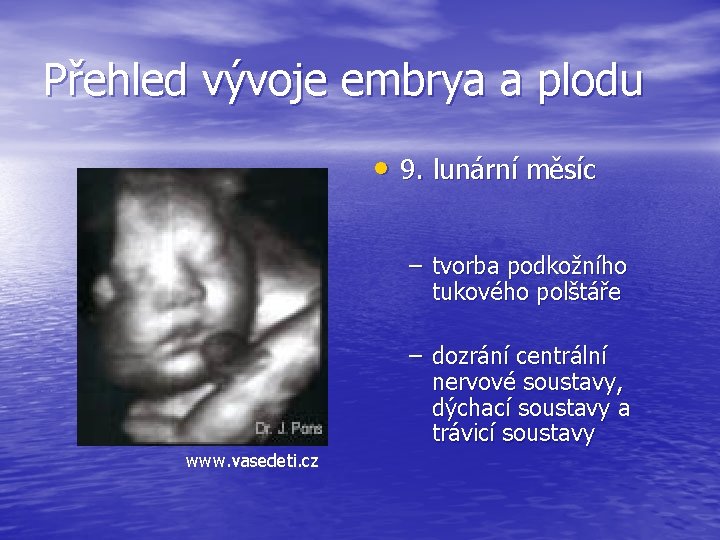 Přehled vývoje embrya a plodu • 9. lunární měsíc – tvorba podkožního tukového polštáře