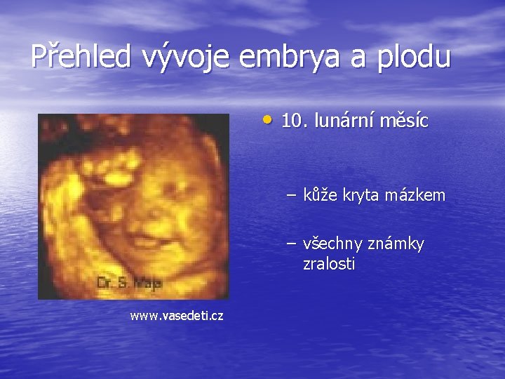 Přehled vývoje embrya a plodu • 10. lunární měsíc – kůže kryta mázkem –