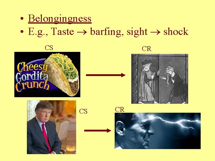  • Belongingness • E. g. , Taste barfing, sight shock CS CR 